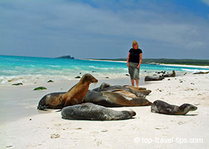 Asa Gislason among her Sea Lions friends Asa Gislason with Sea Lions in Galapagos
