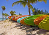Surfing boards - great beach fun