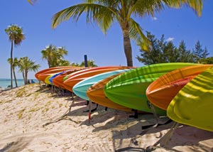 Row of surfing boards