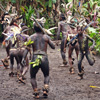 Kastom dancing in Vanuatu