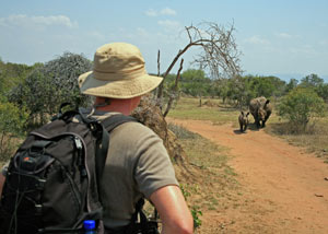Man on African safari watching two Rhinos