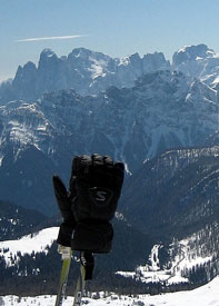 Pair of black colored ski gloves