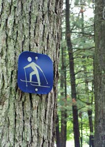 Ski sign on a tree Ski rule signal fixed on to a tree