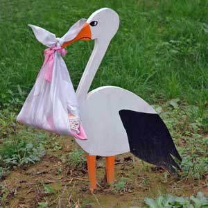 Stork with baby