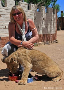 Asa Gislason with broken arm feeding lion cub