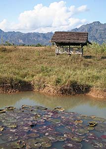 Laos landscape